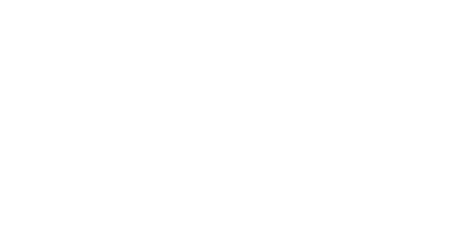 RACING TEAm logo wit